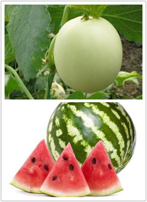 欣欣带你娱乐吃瓜,揭秘娱乐圈幕后故事